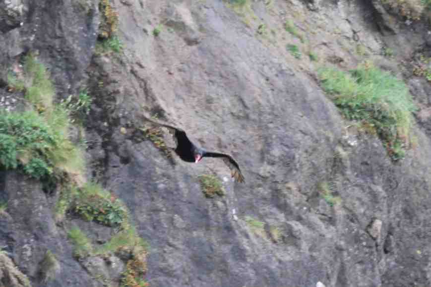 IMG_0216 - V2 low res