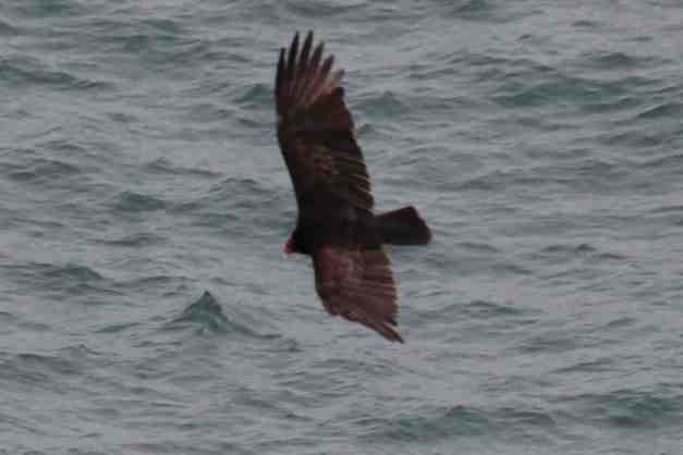 IMG_0220 - V3 A low res