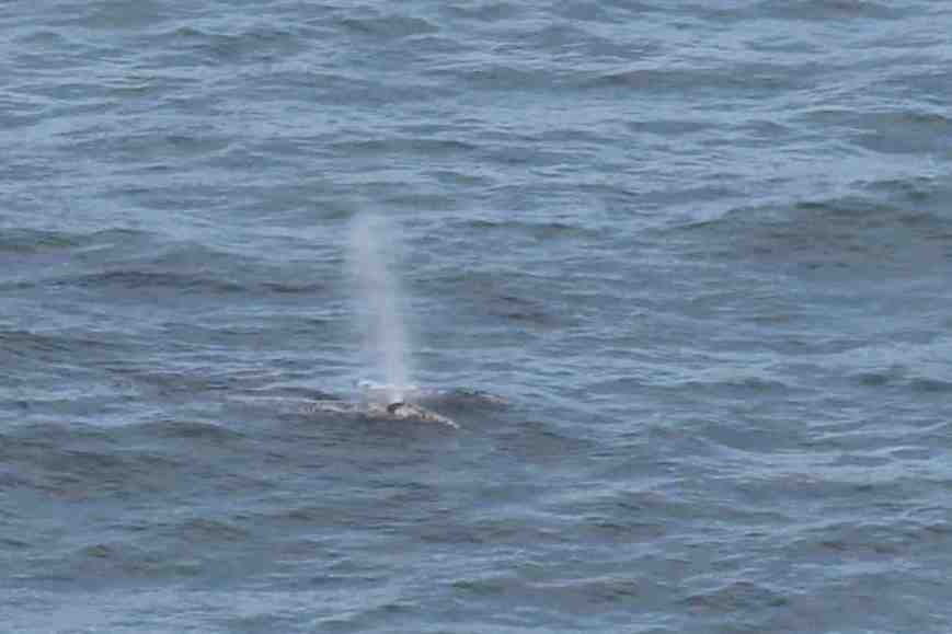 IMG_0240 - V2 low res