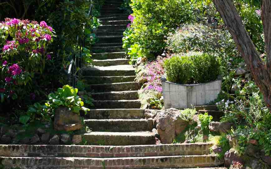 IMG_0386 - V2 low res