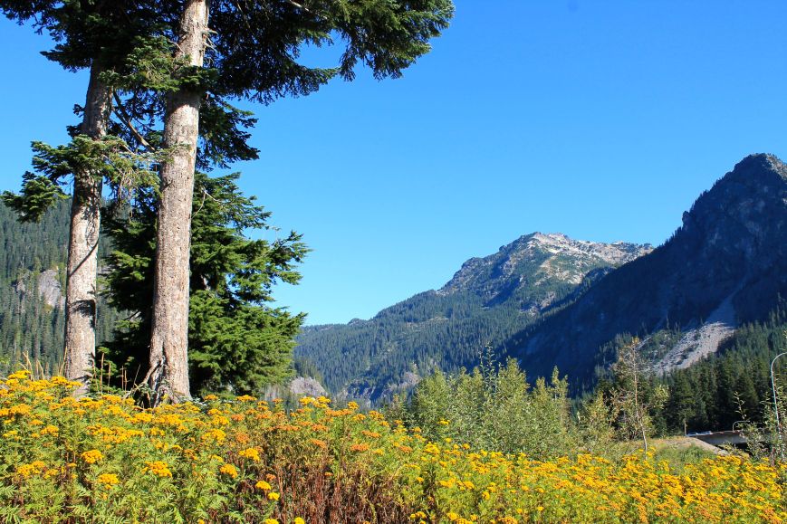 Snoqualmie Pass
