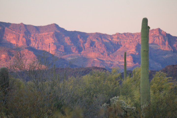 Organ Pipe Cactus Natl Monument