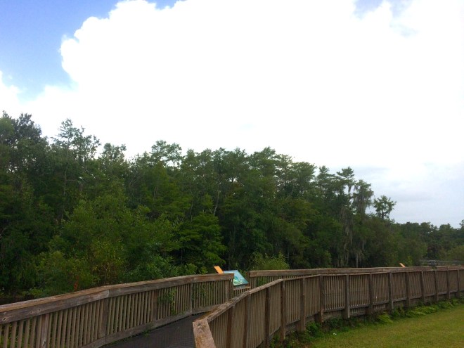 Rest area along Hwy 41