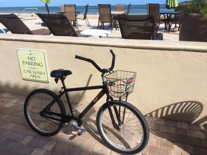 My ride for the week