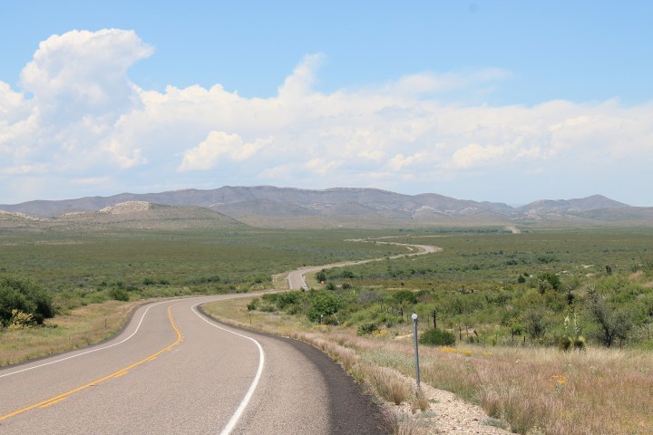 Main Park Drive, north of the Visitor's Center