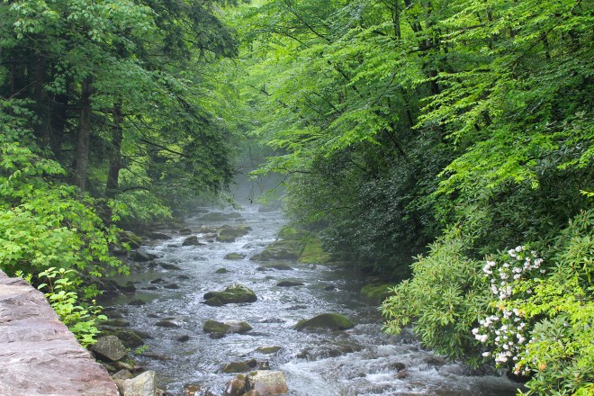 Blue Ridge Parkway, NC