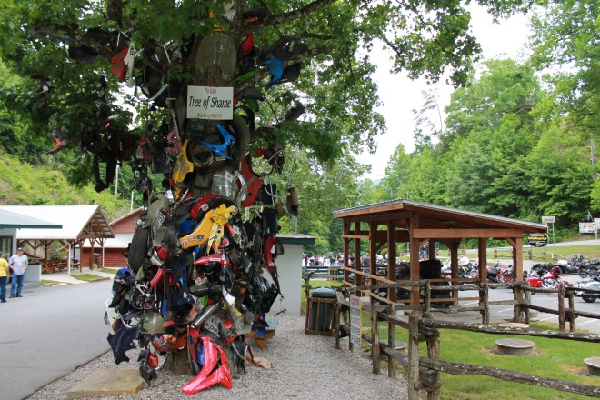 The Tree of Shame, Deal's Gap, NC
