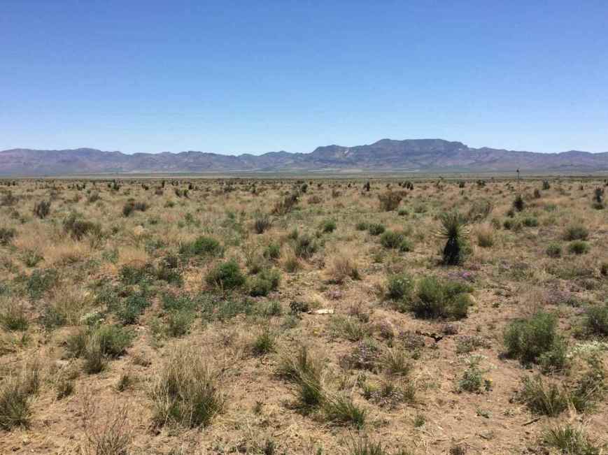 Landscape near San Simon, AZ