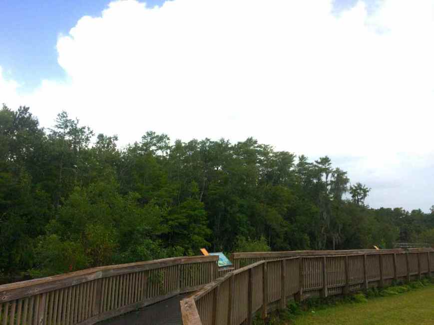 Rest area along Hwy 41