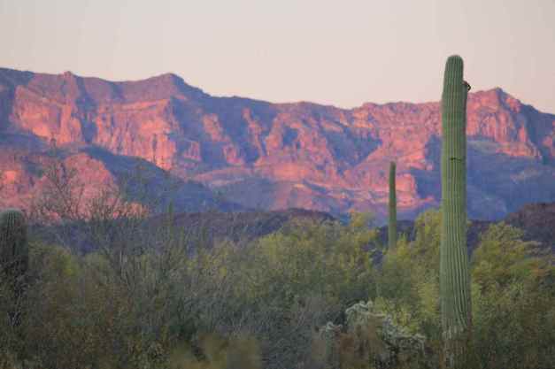 Organ Pipe Cactus Natl Monument