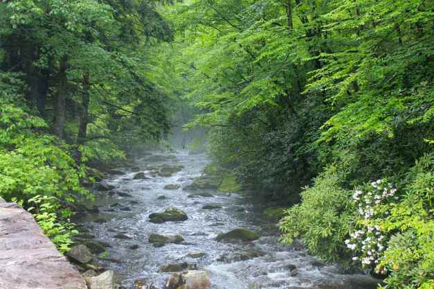 Blue Ridge Parkway, NC