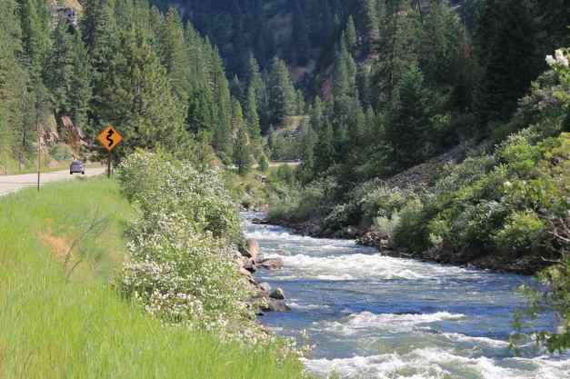 Hwy 55