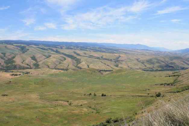 View from White Bird Summit, Hwy 95 Idaho
