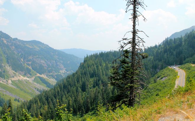 Stevens Canyon Road, Mt Rainier