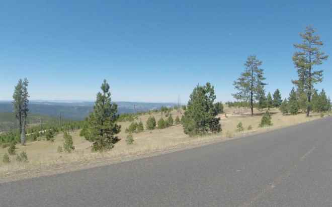 Hwy 410 east of Ukiah