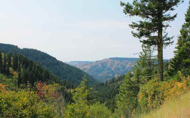 The Blue Mountains along Hwy 204