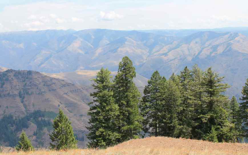 View from Hells Canyon Overlook