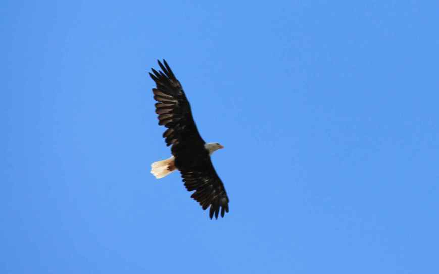 Local resident of McLeese Lake
