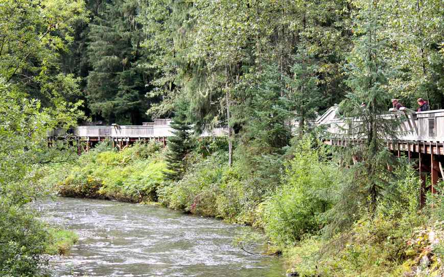 Fish Creek Wildlife Viewing Area