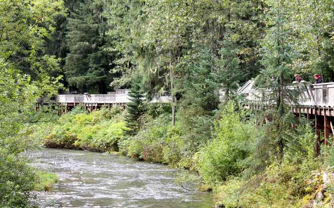 Fish Creek Wildlife Viewing Area