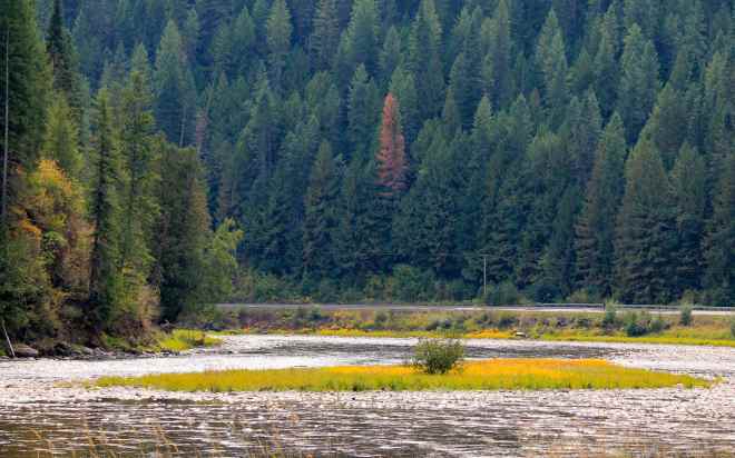 Lochsa River with Hwy 12 in background