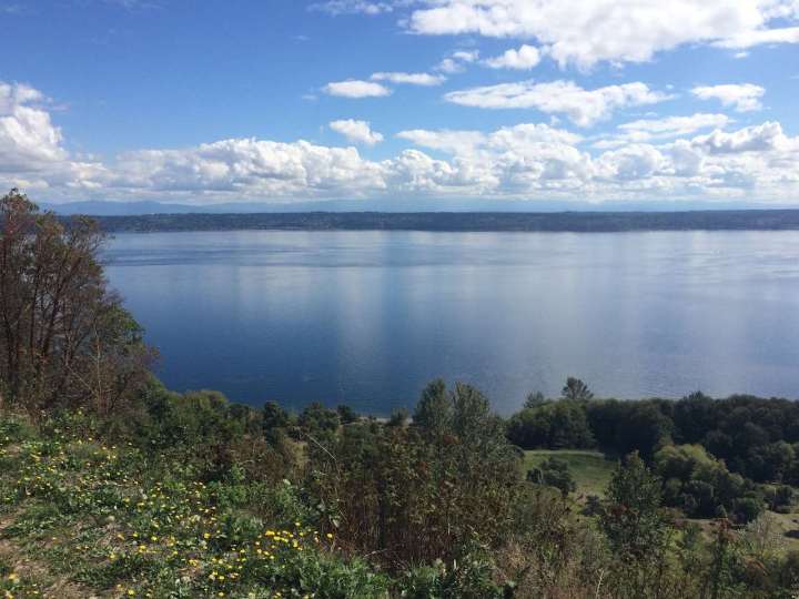View from the Marine Park's observation deck (photo by Carson)