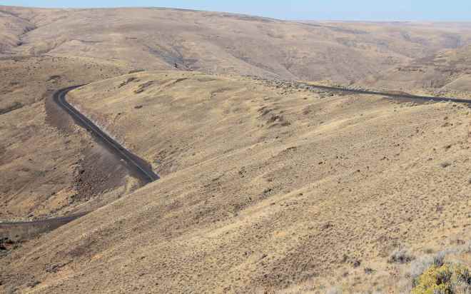 Hwy 206 east of Condon