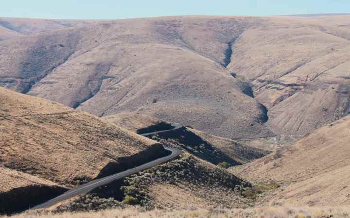 Hwy 206 east of Condon