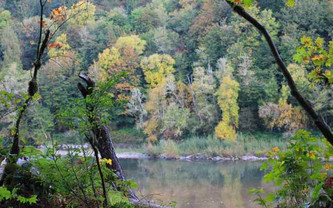 Sandy River