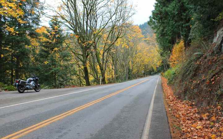 Chuckanut Drive 