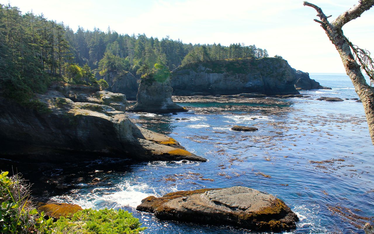 Looking south from vantage