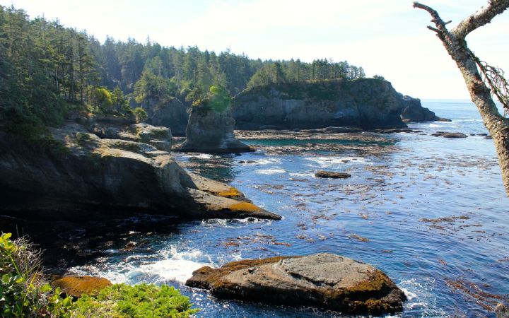 Looking south from vantage