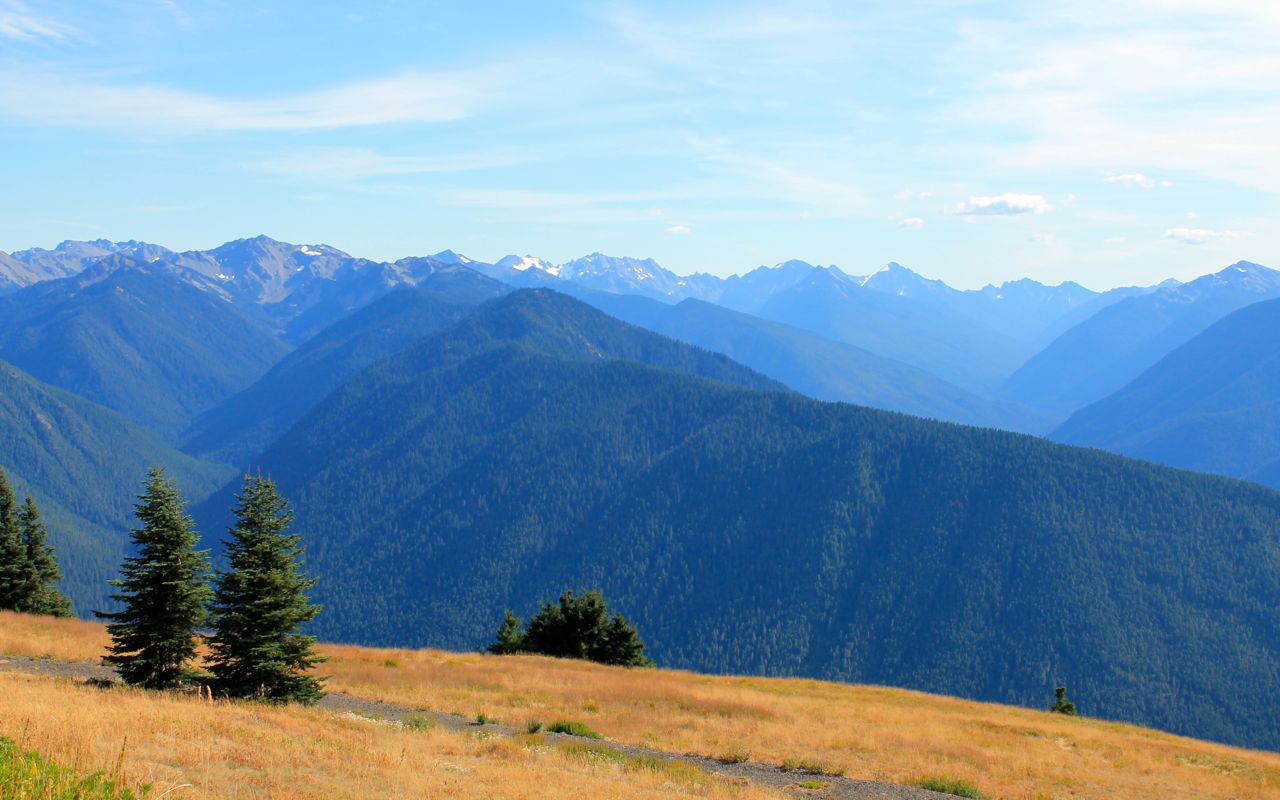 Olympic range