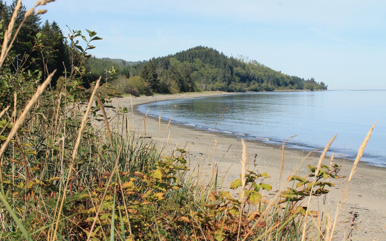 shore