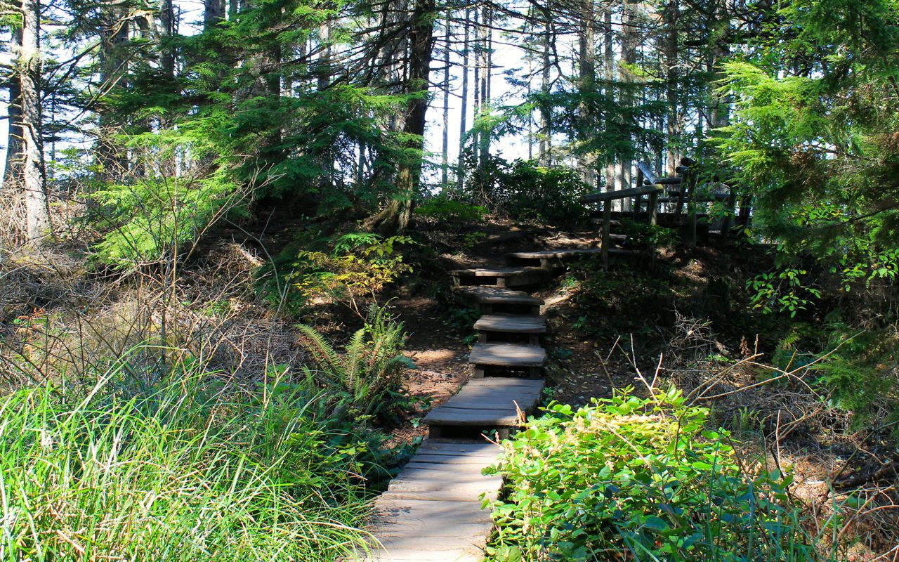 Steps along trail