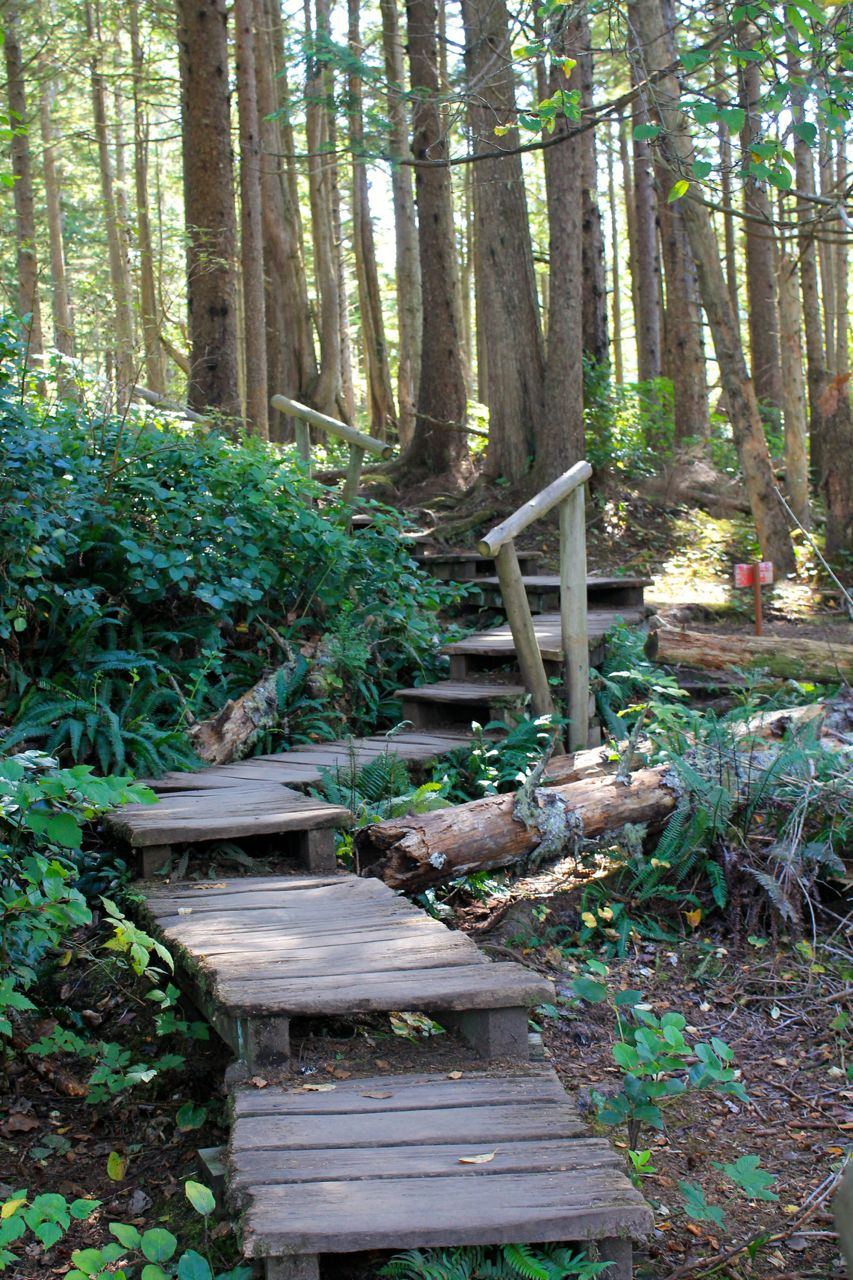 steps vert frame