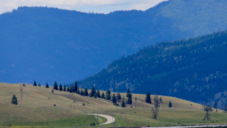 This image has an empty alt attribute; its file name is IMG_6448-2.jpg