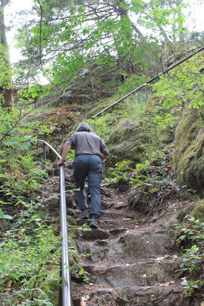 This image has an empty alt attribute; its file name is IMG_6408.jpg