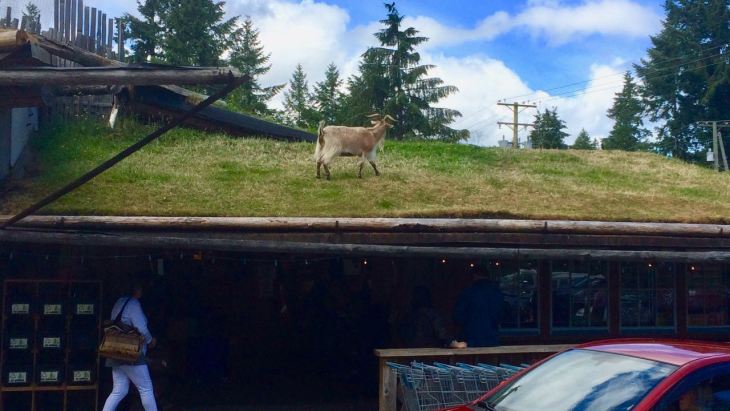 This image has an empty alt attribute; its file name is IMG_3033.jpg