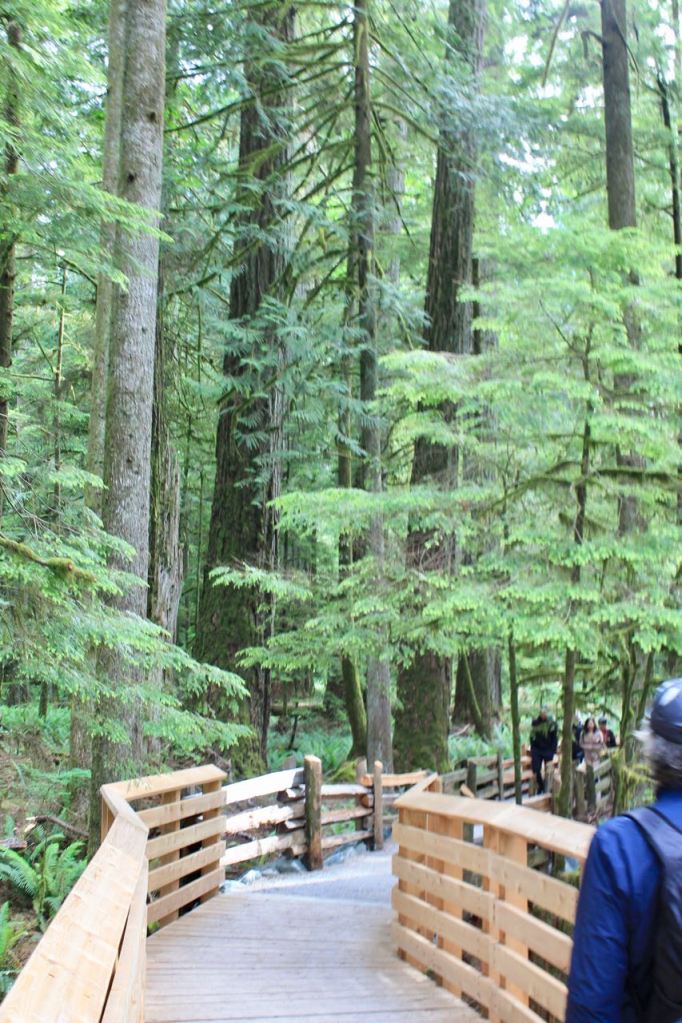 This image has an empty alt attribute; its file name is IMG_6364.jpg