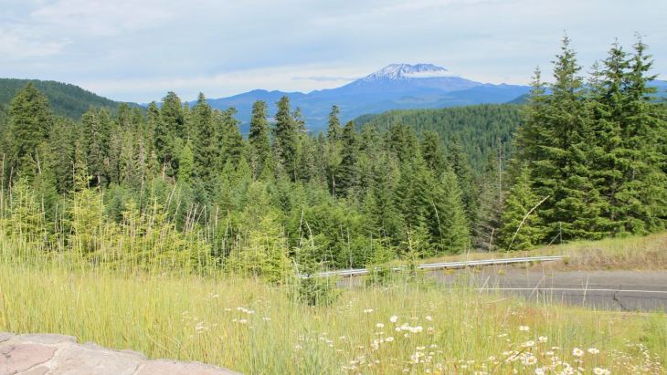 This image has an empty alt attribute; its file name is IMG_6520.jpg