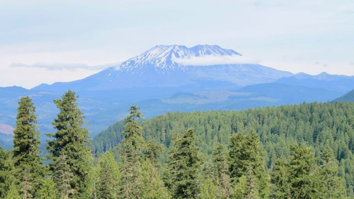 This image has an empty alt attribute; its file name is IMG_6519.jpg