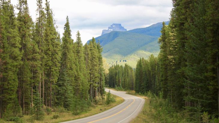 This image has an empty alt attribute; its file name is IMG_6544.jpg