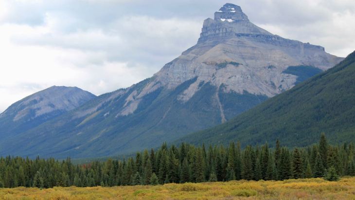 This image has an empty alt attribute; its file name is IMG_6545.jpg